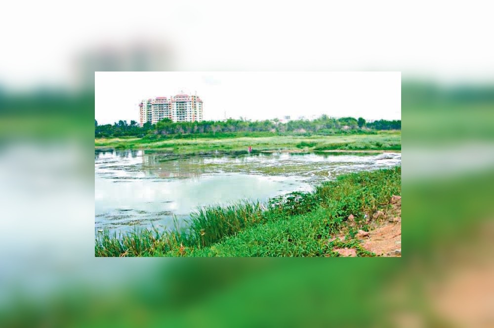 In a bid to create decentralised storage spaces and also alleviate localised flooding, Greater Chennai Corporation and district administrations are focusing on restoration of smaller water bodies.