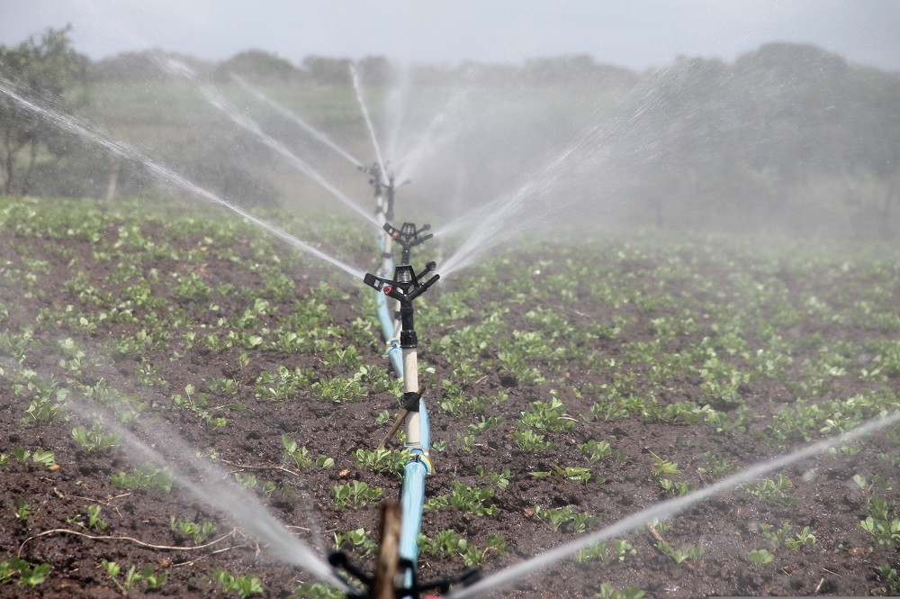 The project aims to enhance Tajikistan’s water and irrigation infrastructure and management systems, ensuring sustainable and efficient use of resources in the agriculture sector.